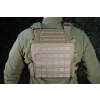 Plate Carrier RICON TACTICAL VestRG
